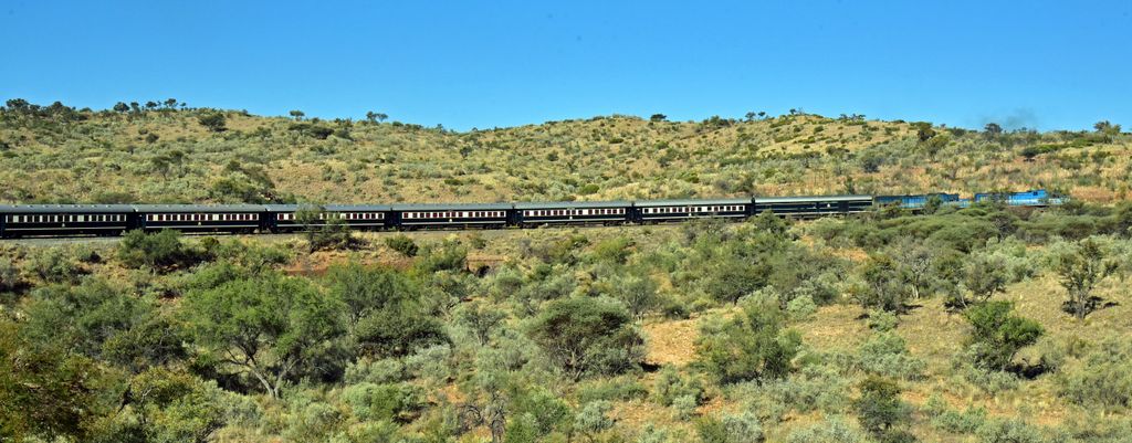 Vom Löwen gebissen: Mit Rovos Rail von Namibia nach Südafrika