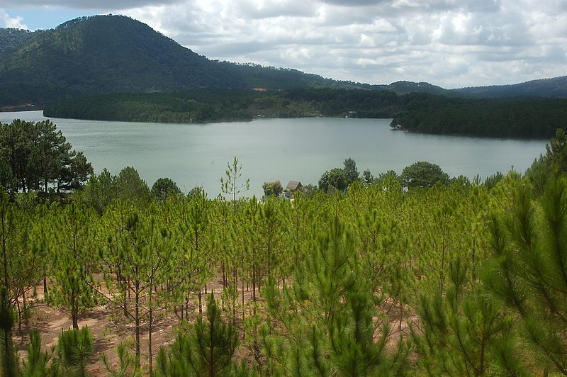 Der Tuyen Lam-See